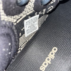 イージーブースト  ３５０の画像
