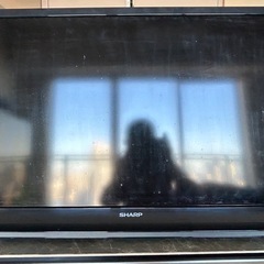 TVの画像