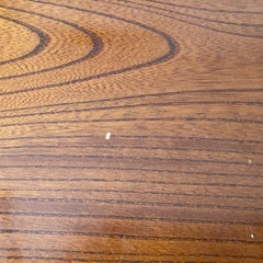 ローテーブル　長方形　日本製　の画像