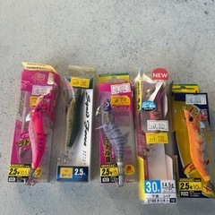 エギ 5つセット