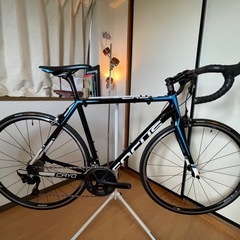 フォーカス CAYO 54cm 自転車 - 新品シマノ105 5...