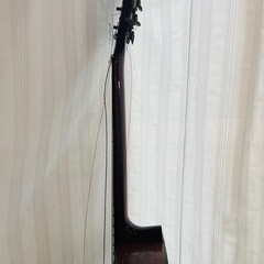 ギターの画像
