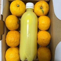 ゆず果汁　ゆず酢　無農薬