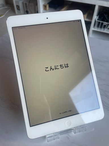 iPad iPad mini