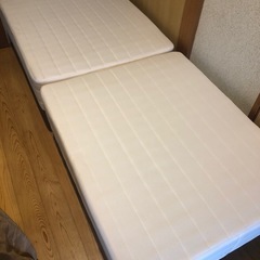 ベット　値下げします。