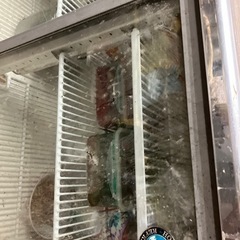 台式冷蔵庫の画像