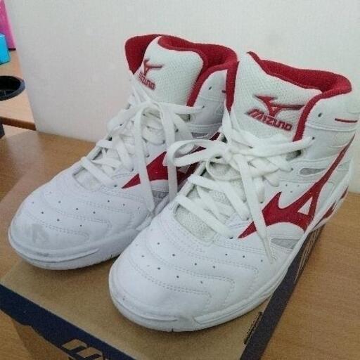 1124-427 MIZUNO WAVE ROOKIE バスケットシューズ