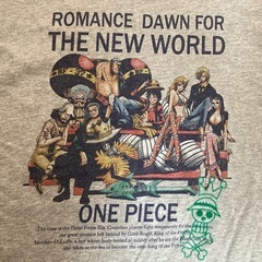 ワンピース半袖Tシャツ　Sサイズの画像