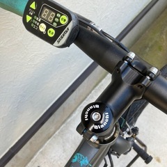 BIANCHI　CAMALEONTE-E  電動クロスバイクの画像