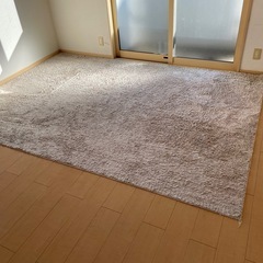 カーペット