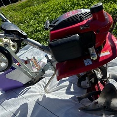 ホンダ　こまめの画像