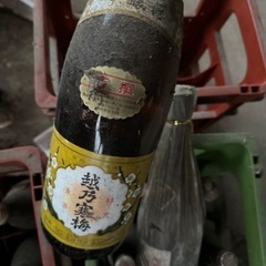 日本酒　19本の画像