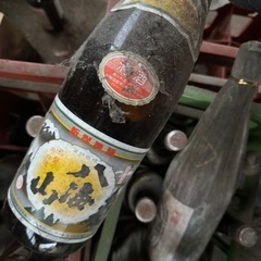 日本酒　19本の画像