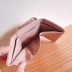 ミニサイフの画像