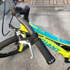 GIANT XTC JR20 Jr. キッズバイク