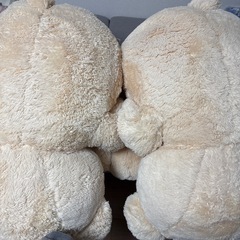 コストコ　くま　ぬいぐるみ　　1点の画像