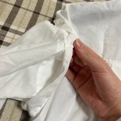 長袖　半袖　シャツの画像