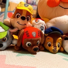 パウパト
の画像