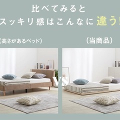 ロウヤ　ベットの画像