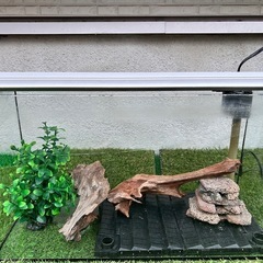 置くだけレイアウトガラス水槽