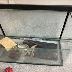 水槽セット