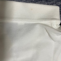 式服ポロシャツの画像