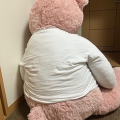 クマちゃんぬいぐるみの画像