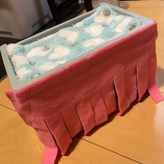 モルモット　二階建てハウスの画像