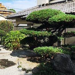 豊富な経験で高品質！自社施工で低予算！😊 - 剪定/造園