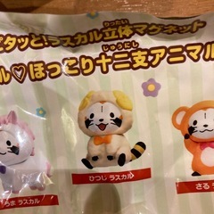 交換お願い！ココス　
ラスカル　マグネットの画像