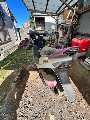 HONDA ライブディオZX原付