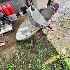 HONDA ライブディオZX原付の画像