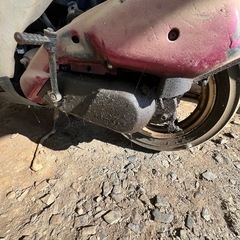 HONDA ライブディオZX原付の画像