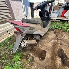 HONDA ライブディオZX原付の画像