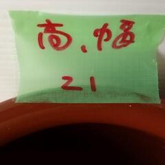 ☆蓋無し 久松窯　保存容器　丸壺 サイズ3号☆の画像