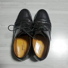 リーガル 25㎝(REGAL WORTH COLLECTION A7E 5083)の画像
