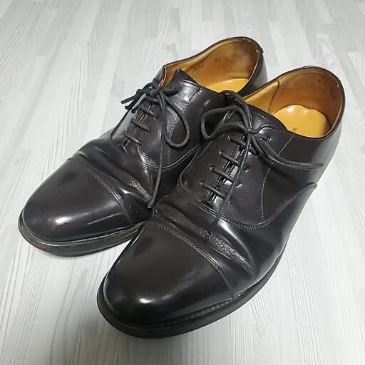 リーガル 25㎝(REGAL WORTH COLLECTION A7E 5083)