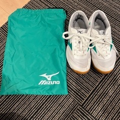 （決まりました🙇‍♀️）😊急募　MIZUNOスニーカー😊11月2...