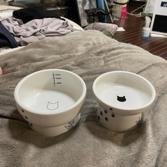 猫壱　水飲みボウル　カリカリボウルセット