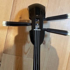 三線 本体 ヘビ皮 3弦ソフトケース付きの画像