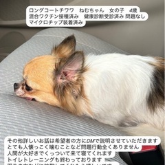 皆様ありがとうございました！
