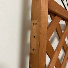 ラティスの画像
