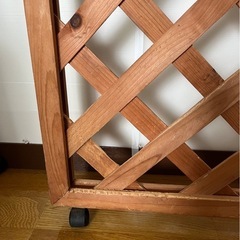 ラティスの画像