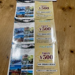 長島スパーランド　なばなの里　券