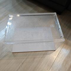 レプタイルボックスの画像