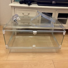グラスハーモニー　　一年使用