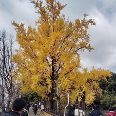 （定員確定）紅葉ハイキングへ行きませんか🍁🍂〈女子限定〉