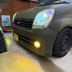 ミラ　アヴィ　の画像