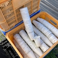 すくすくカップ24