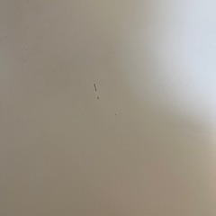 【0円】ホワイトローテーブルの画像